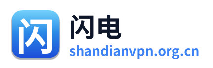 闪电VPN Logo